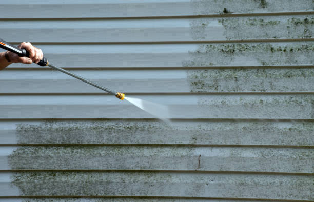 Best Pressure Washing Driveway  in Kirkland, WA